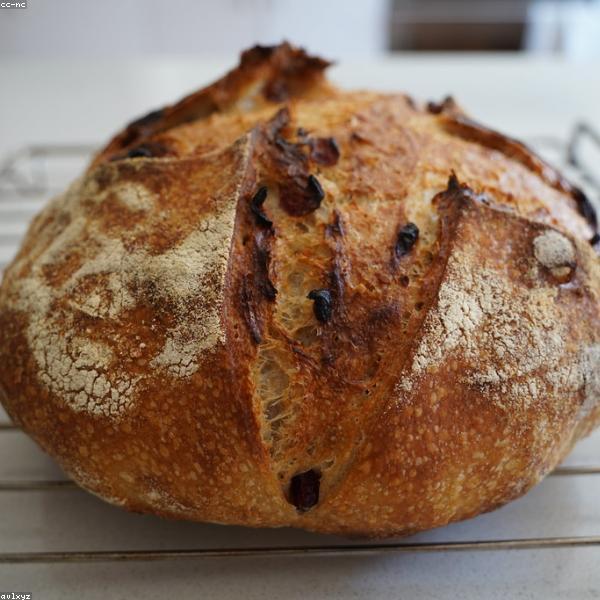 Whole Wheat Bread